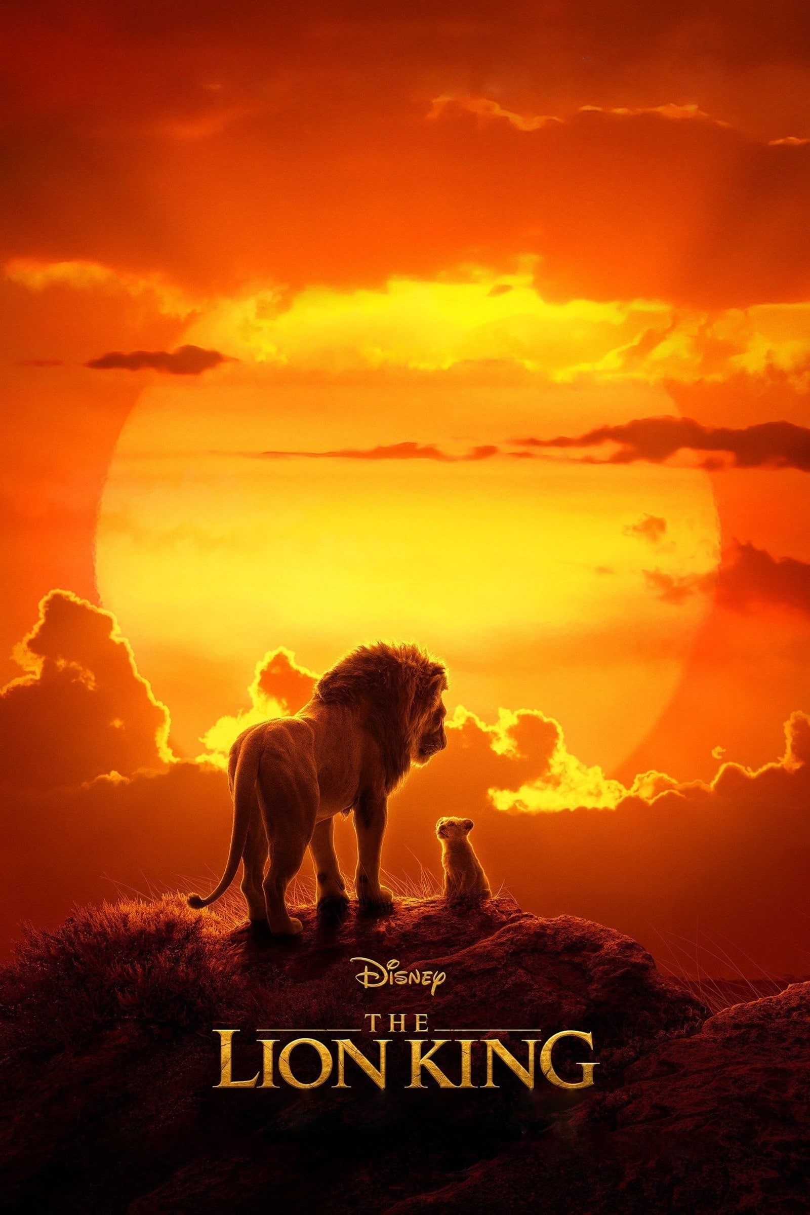 The Lion King picture